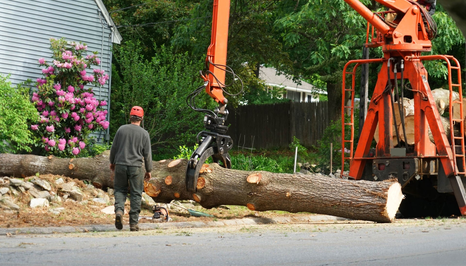 Local partner for Tree removal services in Flagstaff