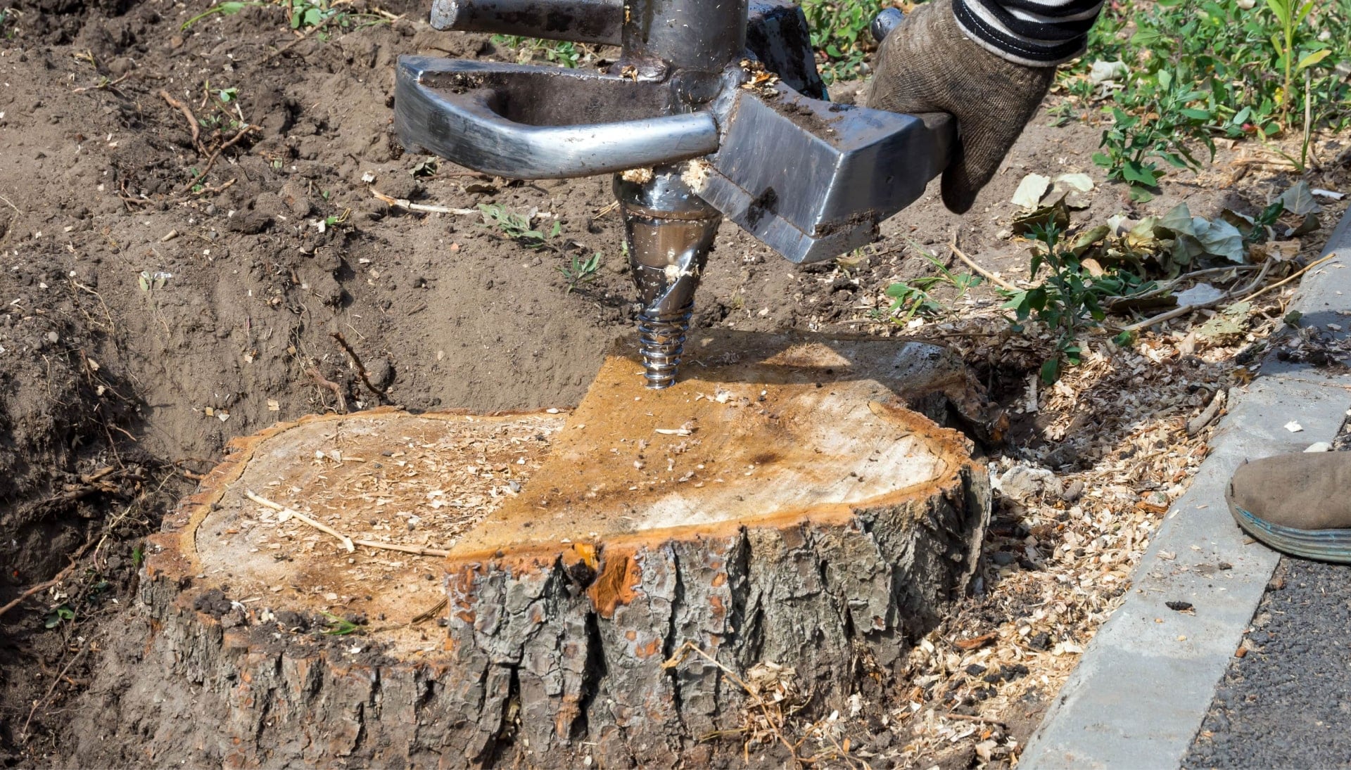 Flagstaff Tree stump removal